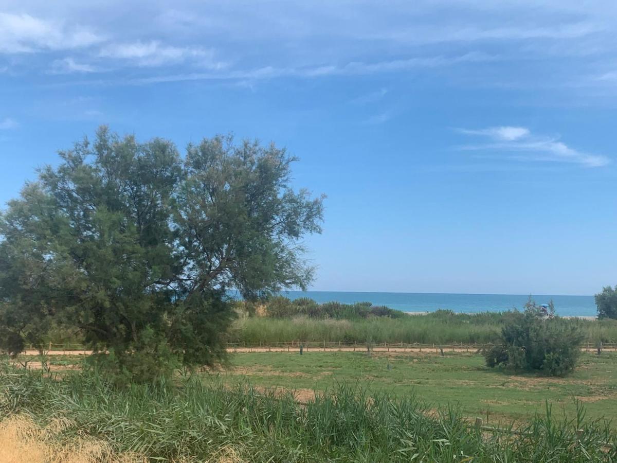Beachfront Apartment With A Private Garden On The Ground Floor Moncófar Exteriör bild